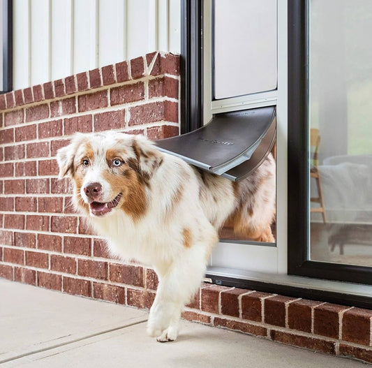 PetSafe Large Sliding Glass Pet Door